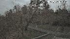 area1-20250322051024.jpg
