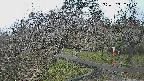 area1-20250402080026.jpg
