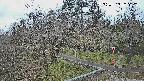 area1-20250402102028.jpg