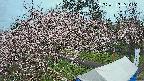 area1-20250415061201.jpg
