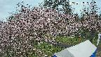 area1-20250415091201.jpg