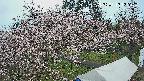 area1-20250415122201.jpg