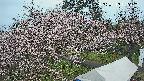 area1-20250415142201.jpg