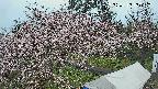 area1-20250415150201.jpg