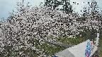 area1-20250417124155.jpg