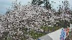 area1-20250417125153.jpg
