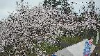 area1-20250417165154.jpg