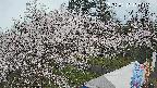 area1-20250417170157.jpg