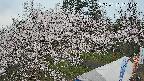 area1-20250417172155.jpg