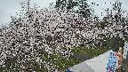 area1-20250417173159.jpg