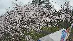 area1-20250417174153.jpg