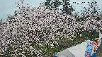 area1-20250420091201.jpg