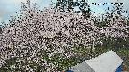 area1-20250421055156.jpg