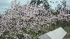 area1-20250421100155.jpg