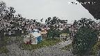 area2-20250418113315.jpg