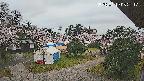 area2-20250419052314.jpg