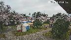 area2-20250419064320.jpg