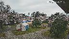 area2-20250419070318.jpg