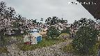 area2-20250419081320.jpg