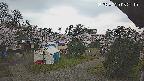 area2-20250420052257.jpg