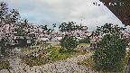area2-20250421055322.jpg