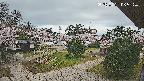 area2-20250421065328.jpg