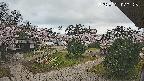 area2-20250421070326.jpg