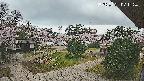 area2-20250421071329.jpg