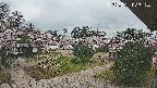 area2-20250421073327.jpg