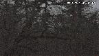 area3-20250320051117.jpg