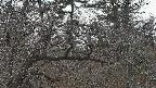 area3-20250320053118.jpg