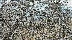 area3-20250320061118.jpg