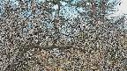 area3-20250320062121.jpg