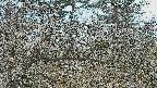 area3-20250320070124.jpg