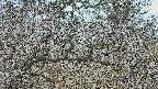 area3-20250320074123.jpg