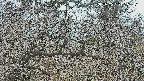 area3-20250320075120.jpg