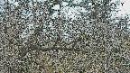 area3-20250320080122.jpg