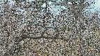 area3-20250320083122.jpg