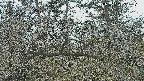 area3-20250320084121.jpg