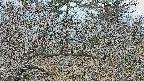 area3-20250320090123.jpg