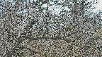 area3-20250320091119.jpg