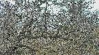 area3-20250320092121.jpg