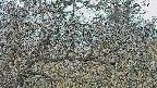 area3-20250320093122.jpg