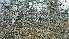 area3-20250320094122.jpg