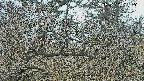 area3-20250320101123.jpg