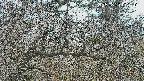 area3-20250320102122.jpg