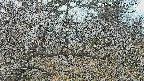 area3-20250320103120.jpg
