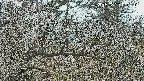 area3-20250320110122.jpg