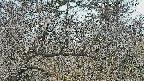 area3-20250320111119.jpg