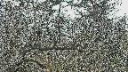 area3-20250320112121.jpg